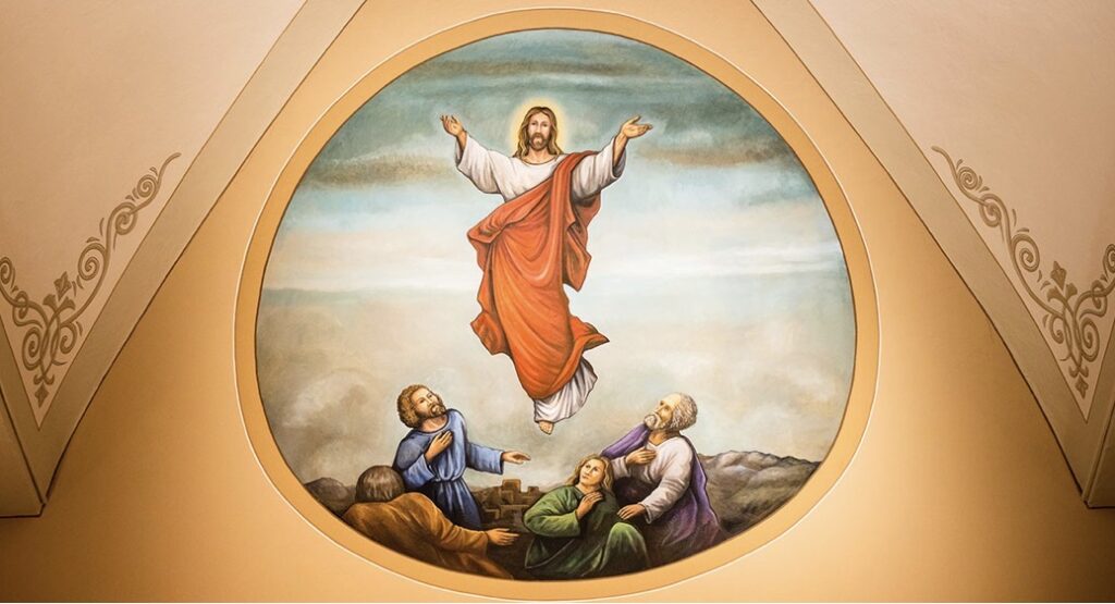 Redeemer News – May 8, 2026